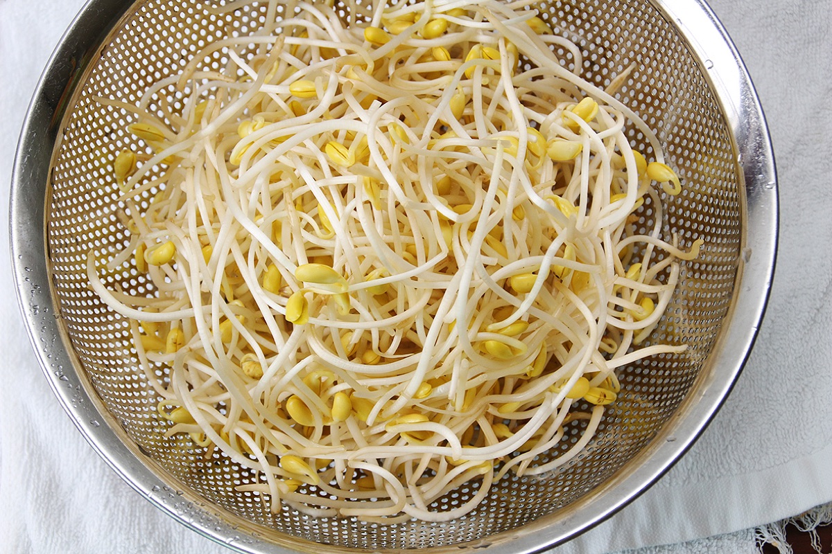 Kongnamul-muchim